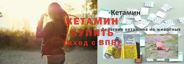 шишки Волоколамск
