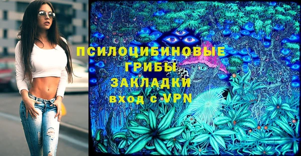 apvp Волосово
