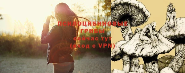 apvp Волосово