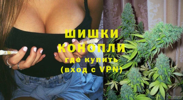 шишки Волоколамск