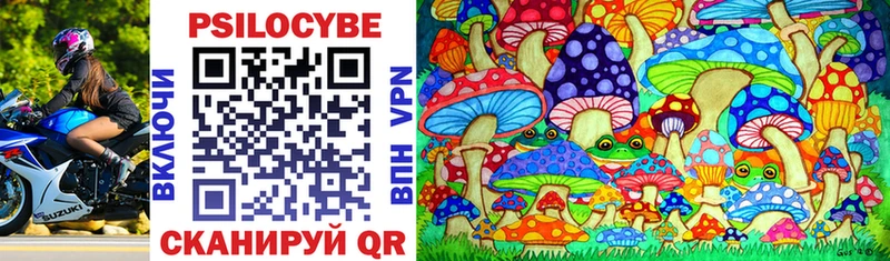 купить наркотик  Данилов  Псилоцибиновые грибы Magic Shrooms 